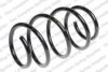 BMW 31331093866 Coil Spring